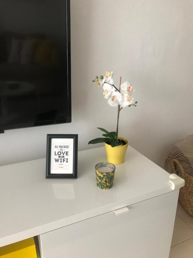 Designer'S Flat - 3 Bdrm - Wifi - Best Location Alicante Eksteriør billede